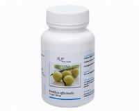 Phyto Health Emblica officinalis (60 caps)