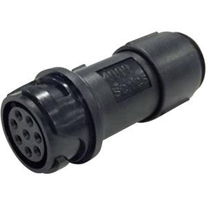 Bulgin PXP4011/08S/5560 Ronde connector Koppeling, recht Serie (ronde connectoren): Buccaneer 4000 Totaal aantal polen: 8 1 stuk(s)