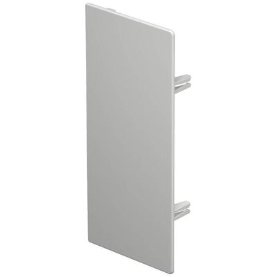 OBO Bettermann 6183980 Eindstuk (b x h) 100 mm x 230 mm Lichtgrijs 5 stuk(s)