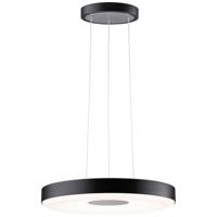 Paulmann Pane 79779 LED-hanglamp LED 11 W Zwart, Grijs - thumbnail