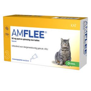 Amflee Amflee Kat