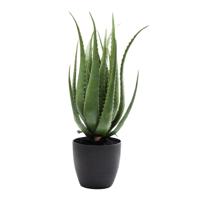 Kare Design Kunstplant Aloe