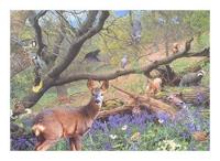 Bluebell Wood Puzzel 500 Stukjes