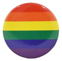 Pride Party gekleurde vlag vormige ontworpen badge, 3,9 cm x 3,9 cm, Eén maat, Metaal