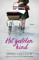 Het gestolen kind - Diney Costeloe - ebook - thumbnail