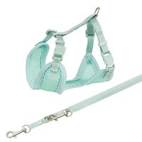 TRIXIE JUNIOR PUPPYTUIG SOFT MET RIEM MINTGROEN 26-34X1 CM / 2 MTR - thumbnail