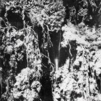 Makita DUX60ZX13 Combisysteem Body met Heggenschaar opzetstuk en Verlengsteel in Doos