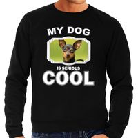 Dwergpinscher honden sweater / trui my dog is serious cool zwart voor heren