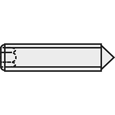 TOOLCRAFT 827334 grubschroef M3 5 mm staal 20 st.