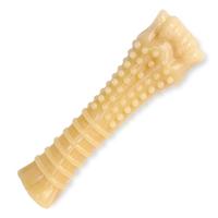 Nylabone Dog Chew Souper