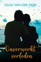 Onverwerkt verleden - Olga van der Meer - eBook (9789020541564)