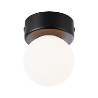 Paulmann 71068 plafondlamp Selection Bathroom Gove IP44 G9 230V max. 20W dimbaar zwart mat, satijn badkamerlamp