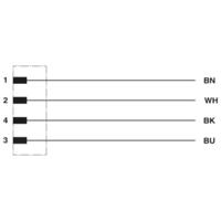 Phoenix Contact 1458868 Sensor/actuator inbouwconnector M12 Aantal polen (sensoren): 5 0.50 m 1 stuk(s) - thumbnail