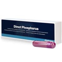 Junai.nl Direct Fosfor Bolus 4 stuks