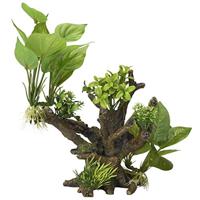 Aqua Della Flora Scape Nummer 4 Aquariumwortel, 20,5 x 19 x 23 cm