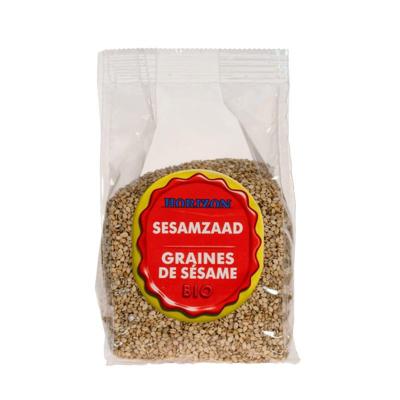 Horizon Sesamzaad bio