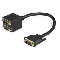 StarTech.com DVI-D naar 2x DVI-D 30 cm splitter kabel - Dual Link DVI25 Y-kabel - mannelijk/2x vrouwelijk - DVI-adapter vergulde contacten (DVISPL1DD)