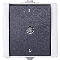 Kopp 540256000 Pro AQA opbouw-vochtige ruimte schakelaarprogramma uitschakelaar 2-polig verlicht