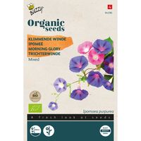 Buzzy® Organic Ipomoea purpurea gemengd (BIO) - thumbnail