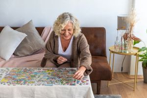 Jan van Haasteren Rendier Race - 500 stukjes - Legpuzzel voor Volwassenen