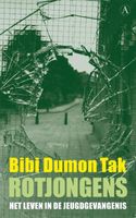 Rotjongens - Bibi Dumon Tak - ebook - thumbnail