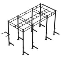 PTessentials Heavy Duty Crossfit Rig V1