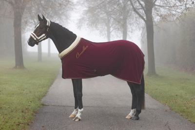 Covalliero Fleecedeken Teddy Kraag Covalliero Fleecedeken Teddy Kraag