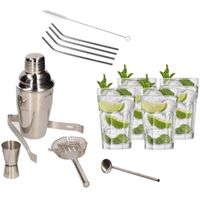 Cocktailshaker set RVS 5-delig inclusief 4x cocktailglazen 410 ml met 4x RVS rietjes