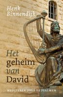 Het geheim van David - Henk Binnendijk - ebook - thumbnail