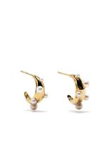 RAGBAG STUDIO créoles serties de perles - Or