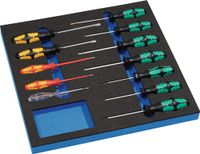 Wera Gereedschapsmodule | 12-delig 2/3-module | sleuf / PH / PZD / torx | Sl.+PH+TX, spann.tester. | 1 stuk - S4000871288 S4000871288