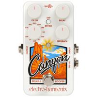 Electro Harmonix Canyon Delay & Looper pedaal