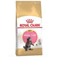 Royal Canin Maine Coon voer voor kitten 10kg