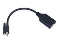 TripleHead2go upgrade - DisplayPort-adapter - Mini DisplayPort (M) naar DisplayPort (V) - voor Matrox M9138, M9148, M9188; Graphics eXpansion Module DualHead2Go, TripleHead2Go
