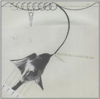 Adventure, Bless, And Don't Be Sorry - CD (0802685853526)