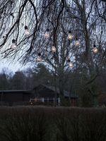 Konstsmide 2384-800 Lichtgordijn Binnen/buiten Energielabel: F (A - G) werkt op het lichtnet Aantal lampen 180 LED Barnsteen Verlichte lengte: 9.5 m - thumbnail