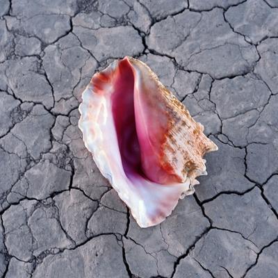 Wonderful Wonderful (Del.Ed.) - CD (0602557918458)