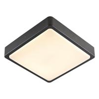 SLV wand- en plafondopbouwarmatuur AINOS SQUARE/verlichting voor wanden, wegen, ingangen, ledspot buiten, opbouwarmatuur outdoor, tuinlamp, plafondspot / IP65 3000/4000K 17 W 1300 lm antraciet