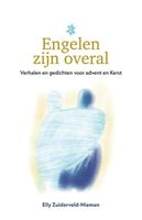 Engelen zijn overal - Elly Zuiderveld-Nieman - ebook - thumbnail