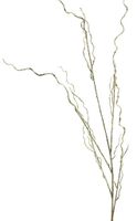 Twig spray gold 130cm