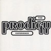Experience - CD (5012093551029)