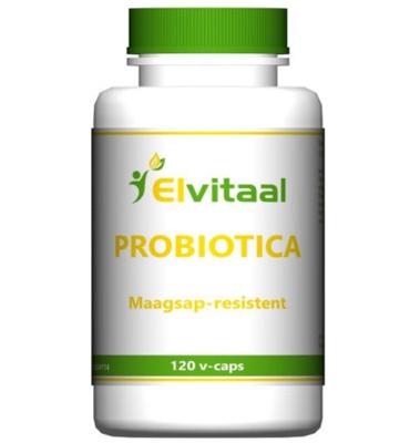Elvitaal Elvitaal Probiotica (120st)