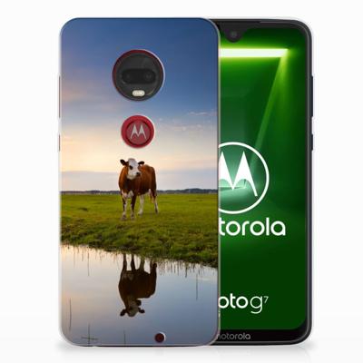 Motorola Moto G7 | G7 Plus TPU Hoesje Koe Motorola Moto G7 | G7 Plus TPU Hoesje Koe