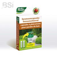 BSI feromooncaps buxusmottenval navulling - thumbnail