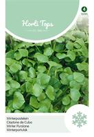 Hortitops 12493 Winterportulak (Portulakzaad)