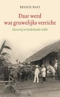 Daar werd wat gruwelijks verricht - Reggie Baay - eBook (9789025304713)