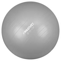 Avento Fitnessbal 55 cm zilverkleurig