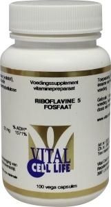 Riboflavine 5 fosfaat/vitamine B2 22mg