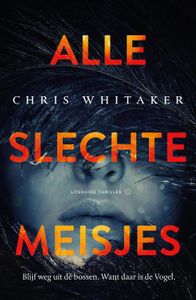 Alle slechte meisjes - Chris Whitaker - ebook