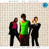 Styles We Paid For - LP (0767870665912)